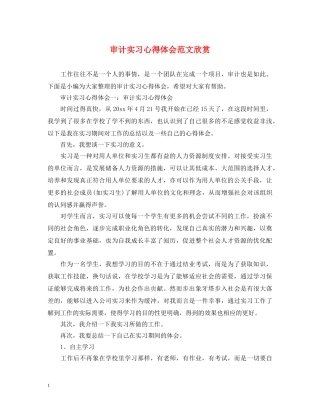 审计实习心得体会范文欣赏 