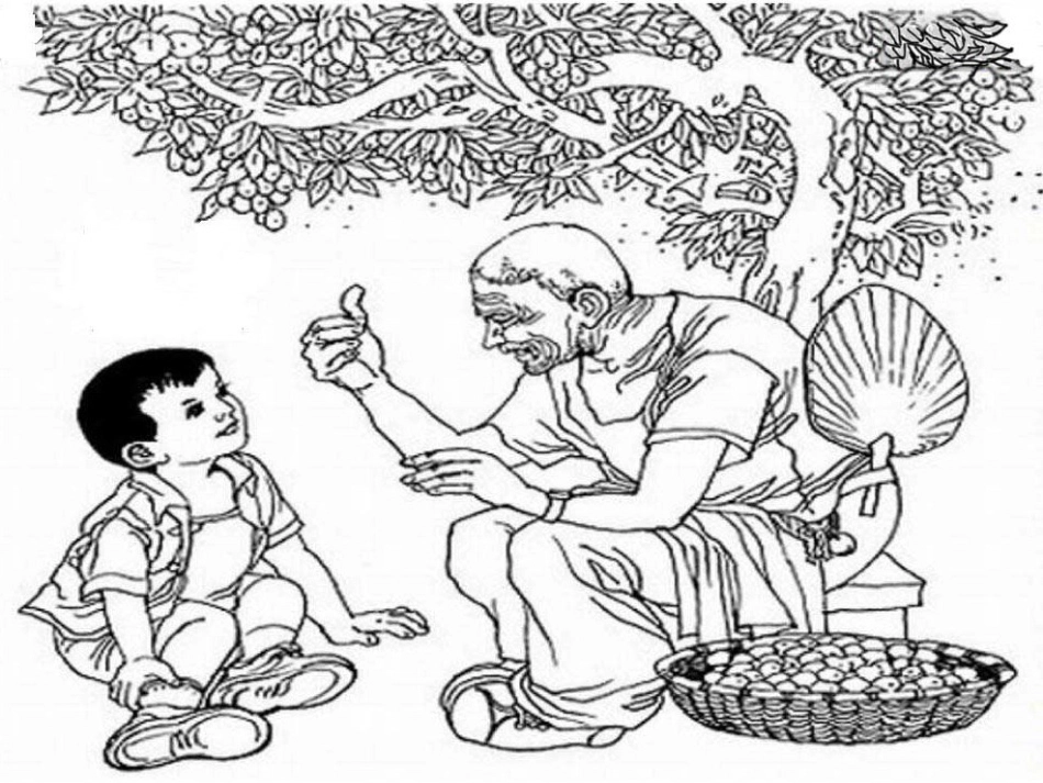 《枣儿》教学课件_第2页