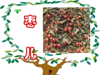 《枣儿》教学课件