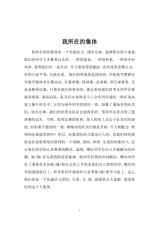 我所在的集体