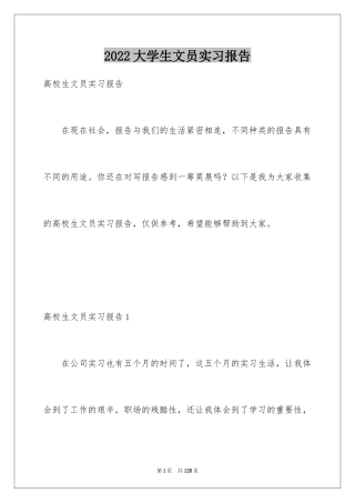 2024大学生文员实习报告_16