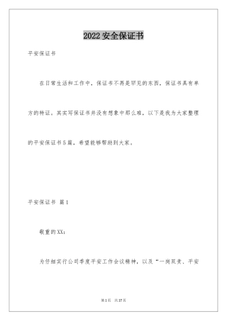 2024安全保证书_9