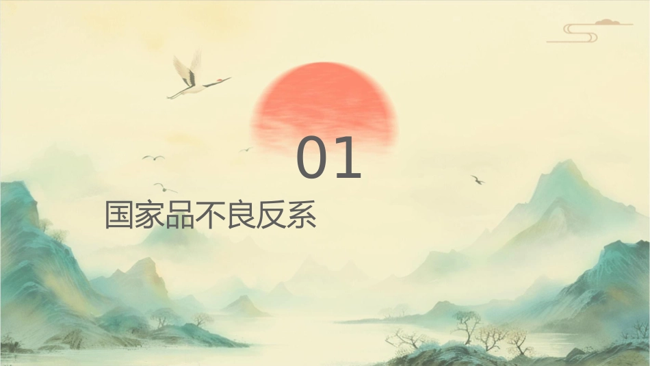 国家药品不良反应监测系统资料课件_第3页