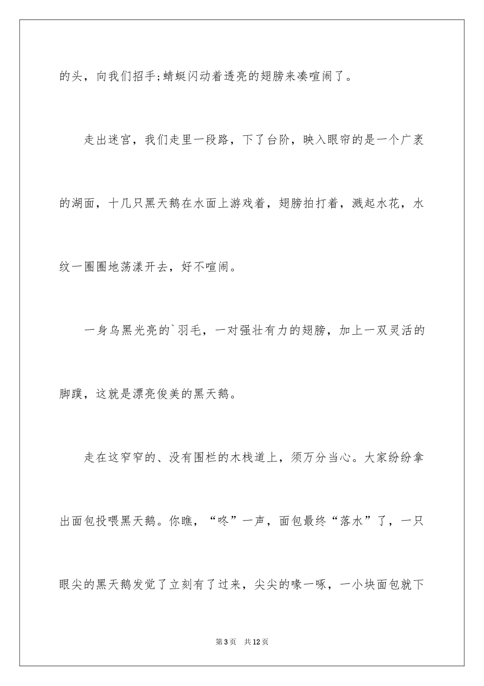 2024中学生快乐的夏令营作文_第3页