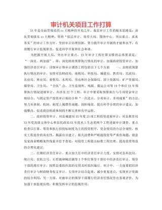 审计机关项目工作打算 