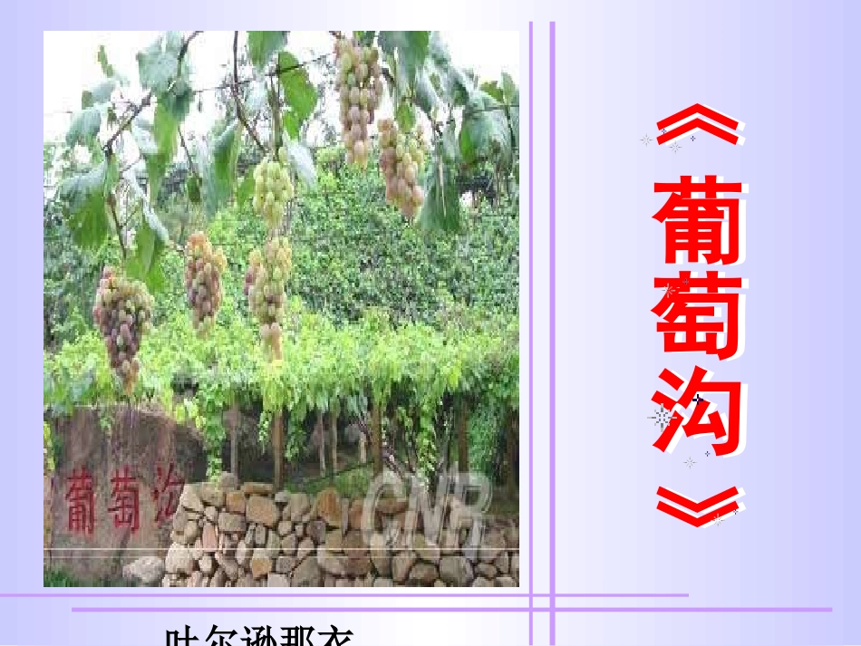 葡萄沟课件 (3)_第1页