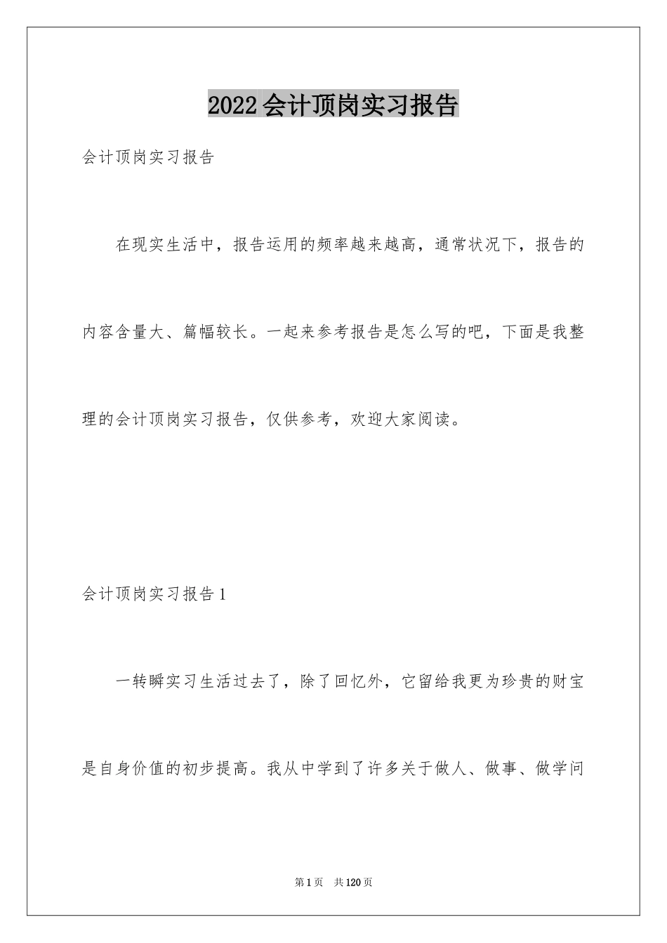 2024会计顶岗实习报告_18_第1页
