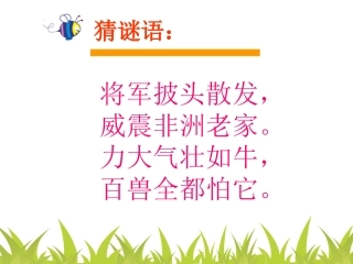 十三课狮子大王3