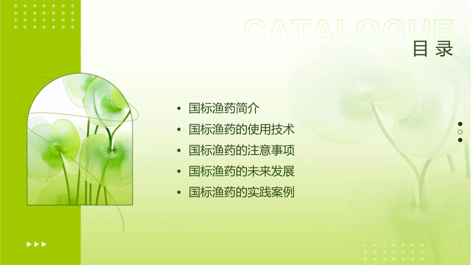 国标渔药的使用技术及注意课件_第2页