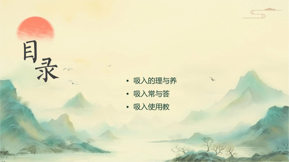 吸入剂使用教学护理课件_第2页