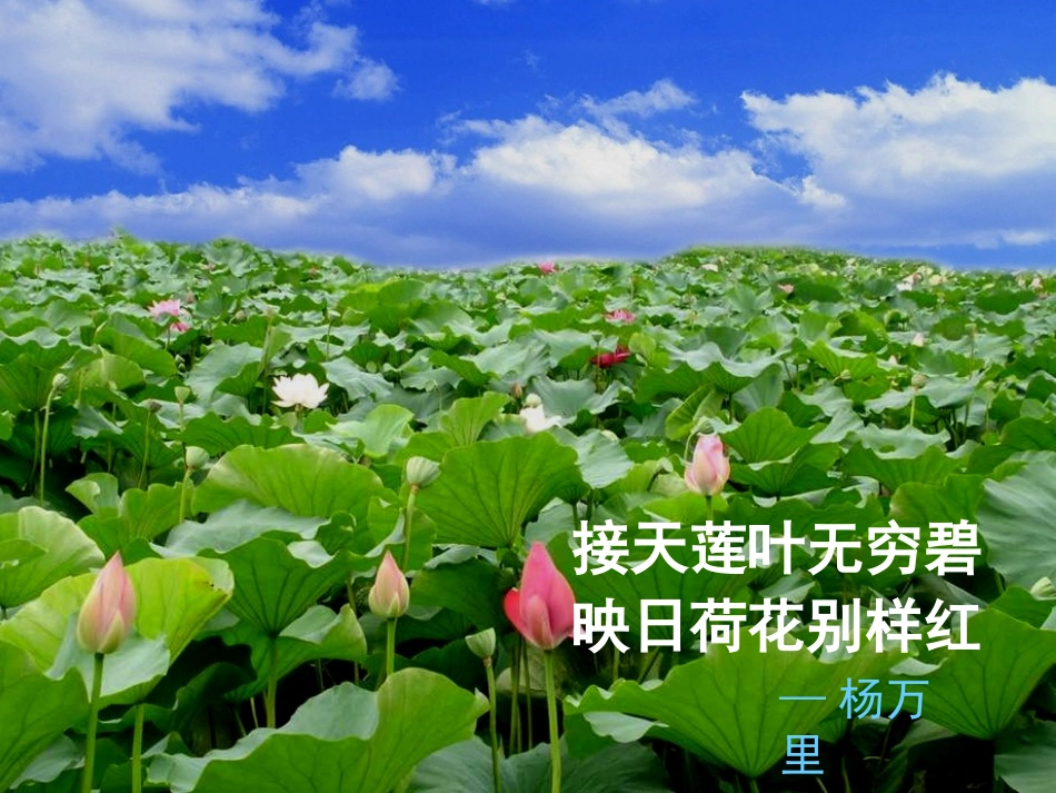 湖心亭看雪_动画版_第2页