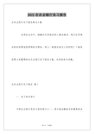 2024在农业银行实习报告