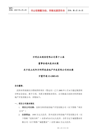 设立沈阳某地产浑南房地产开发有限公司的议案