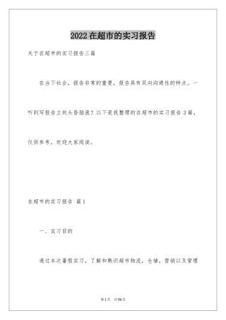 2024在超市的实习报告_43