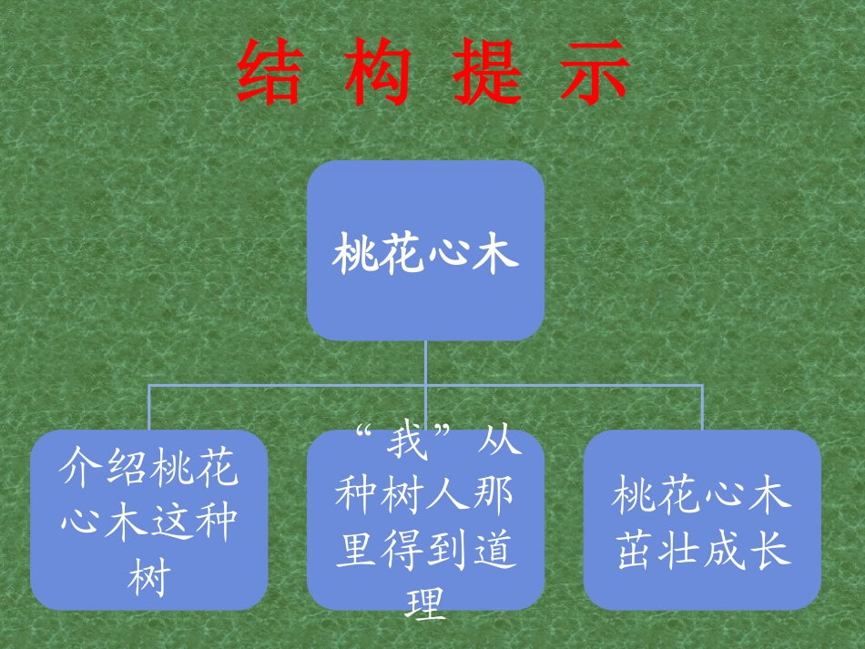 六年级语文下册第一组3　挑花心木第二课时课件_第3页