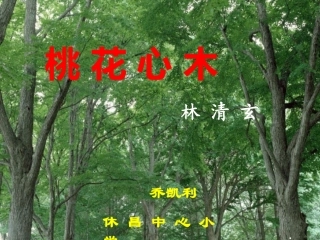 六年级语文下册第一组3　挑花心木第二课时课件