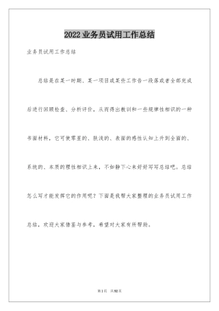 2024业务员试用工作总结_1