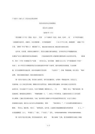十三届人大二次会议记者会材料