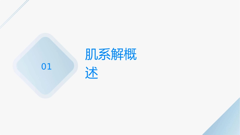 头颈肌系统解剖护理课件_第3页