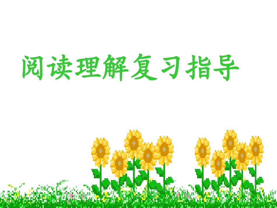 高三英语阅读理解指导pot_第1页