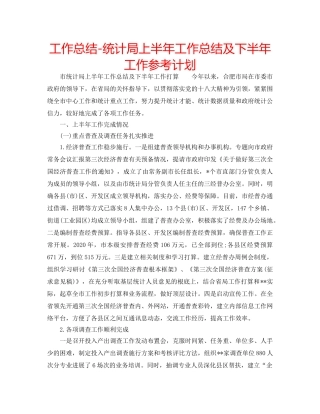 工作总结-统计局上半年工作总结及下半年工作参考计划 