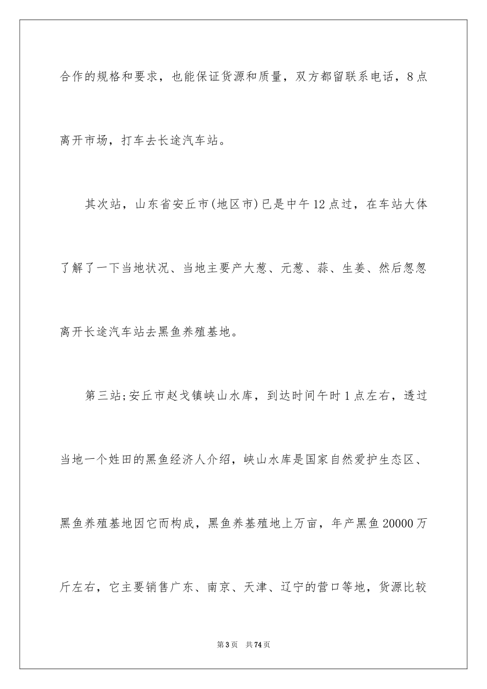 2024出差工作总结_3_第3页