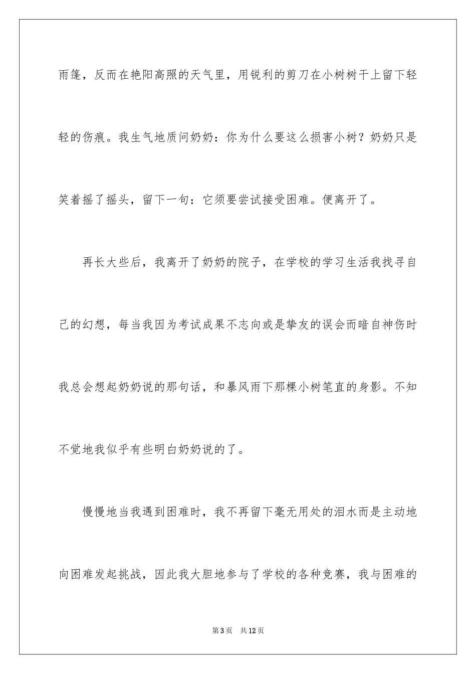 2024在尝试中成长中考满分作文_1_第3页