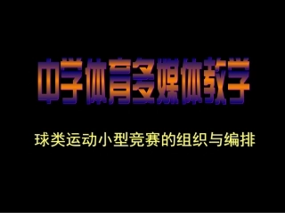 球类运动小型竞赛的组织与编排