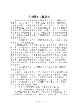 学校团委工作总结 (21)