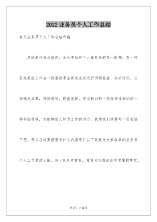 2024业务员个人工作总结_20