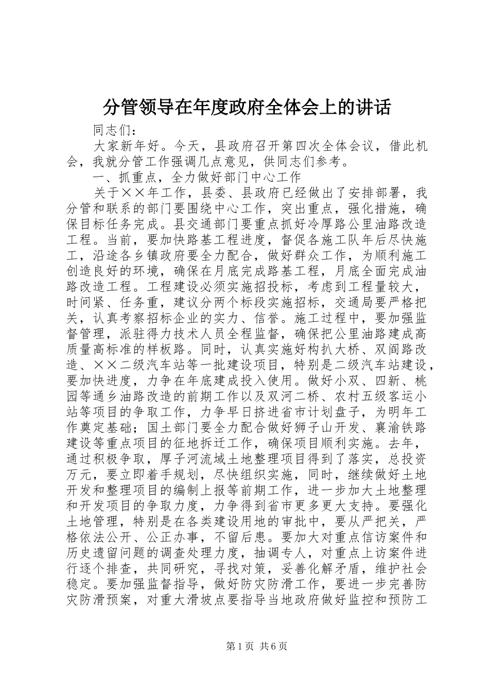 分管领导在年度政府全体会上的讲话发言_第1页