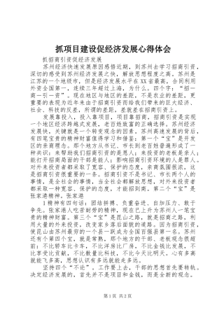 抓项目建设促经济发展体会心得