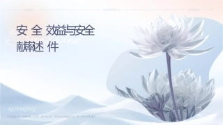 安全经济效益与安全经济贡献率概述课件