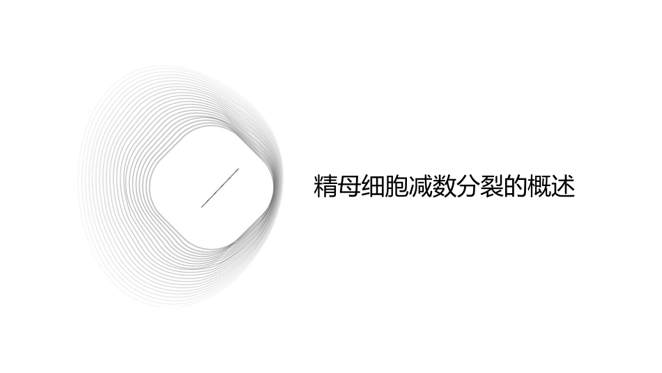 初级精母细胞减数分裂课件_第3页