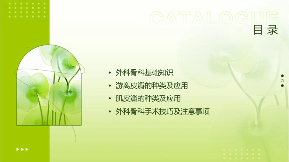 外科骨科骨科常用游离皮瓣及肌皮瓣课件_第2页