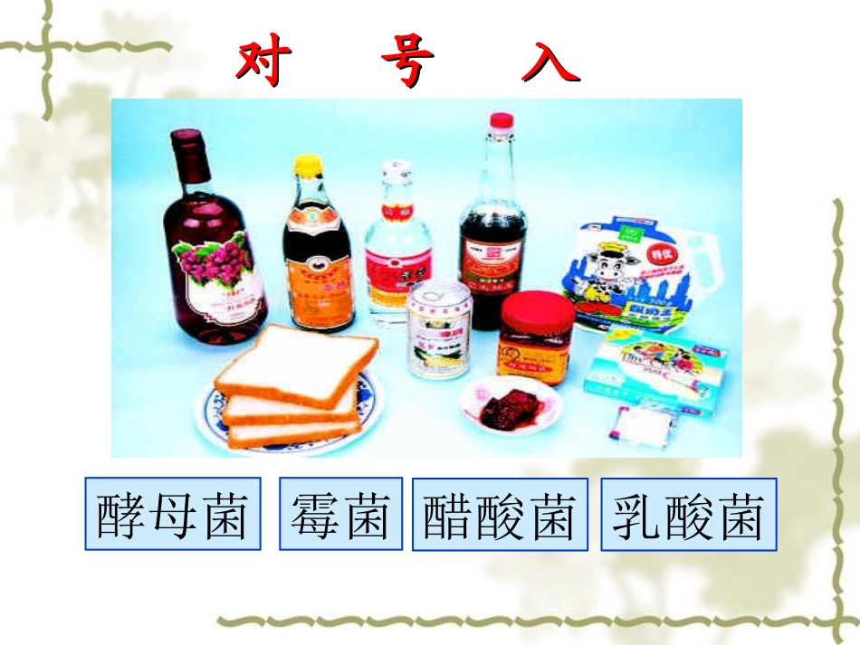 人类对细菌和真菌的利用_第3页