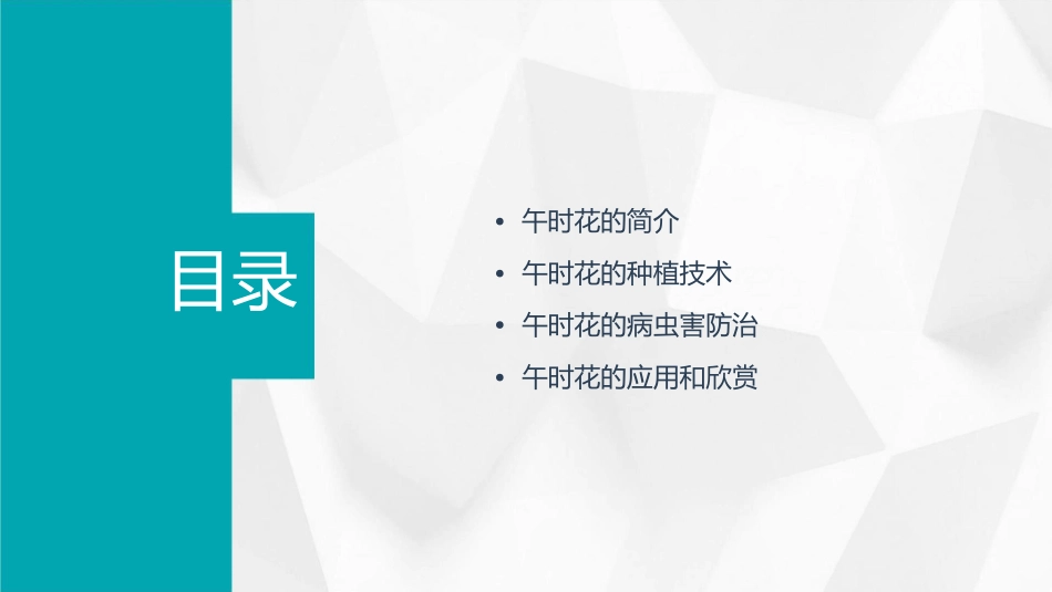 午时花开花了课件_第2页