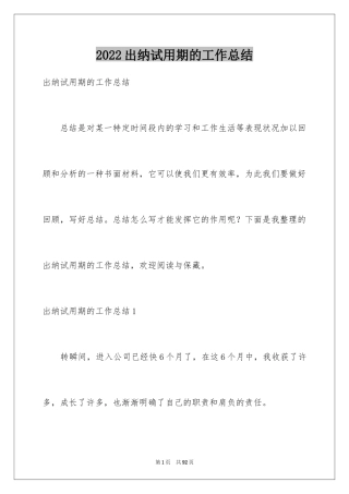2024出纳试用期的工作总结_1