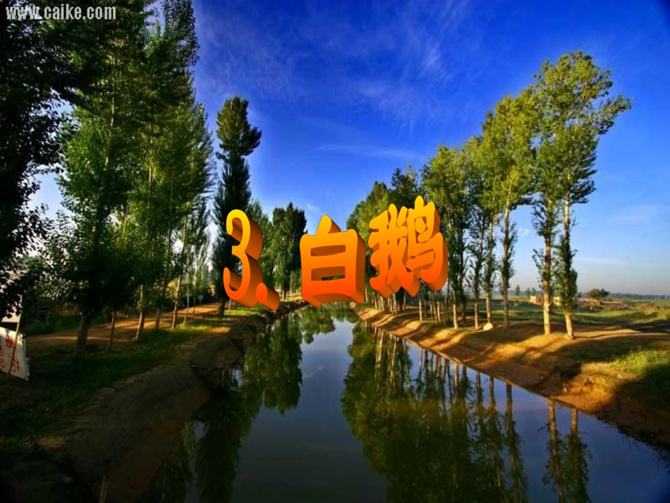 白鹅PPT课件 (3)_第1页