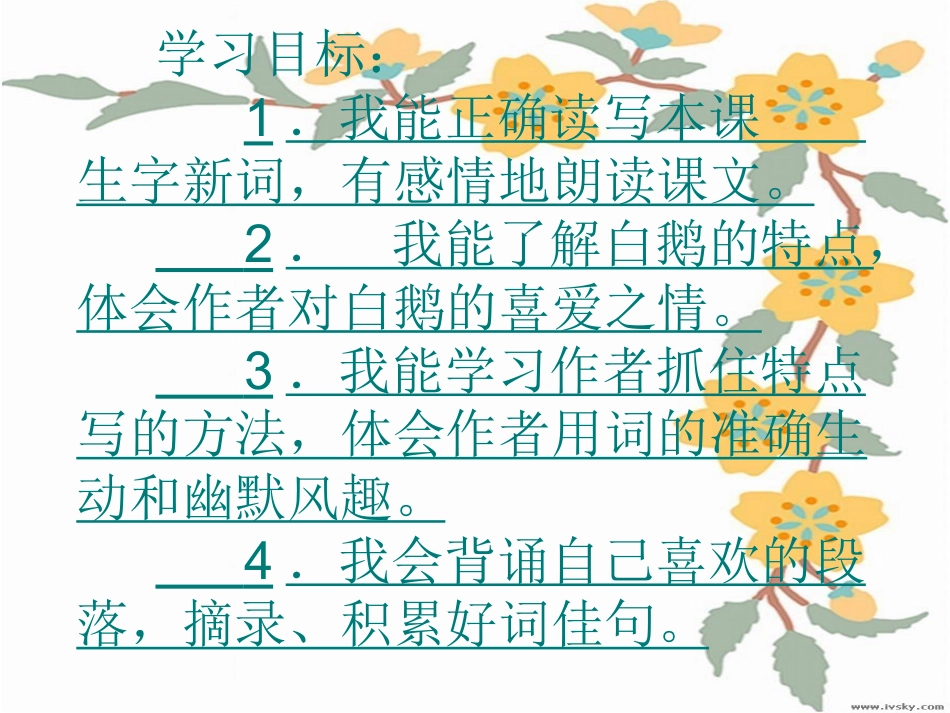 白鹅PPT课件 (3)_第2页