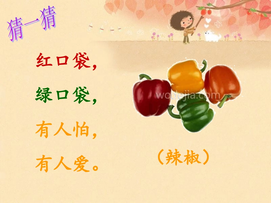 《菜园里》PPT及教案_第3页