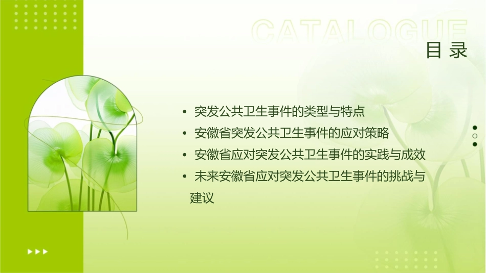 安徽省突发公共卫生事件现状及应对策略课件_第2页