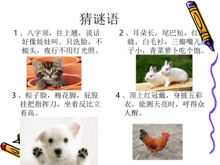 单元四作文——我喜欢的小动物