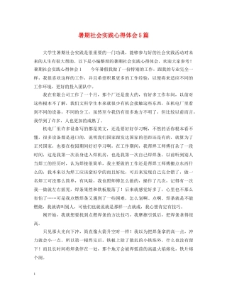 暑期社会实践心得体会5篇 
