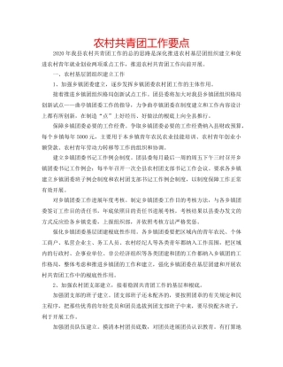 农村共青团工作要点 