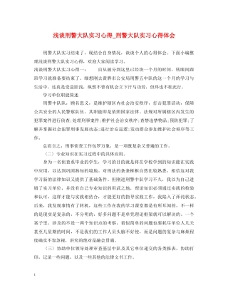 浅谈刑警大队实习心得_刑警大队实习心得体会 