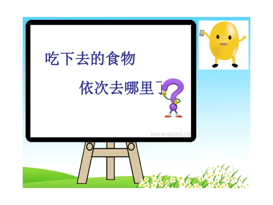 食物在体内的旅行__幼儿园课件_第3页
