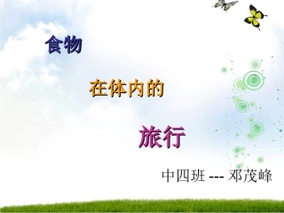 食物在体内的旅行__幼儿园课件