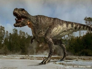 飞向蓝天的恐龙 (2)