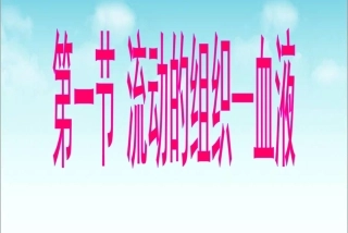 《流动的组织—血液》参考课件